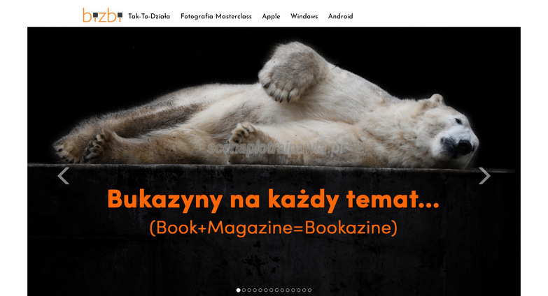 bizbi-media-s-a