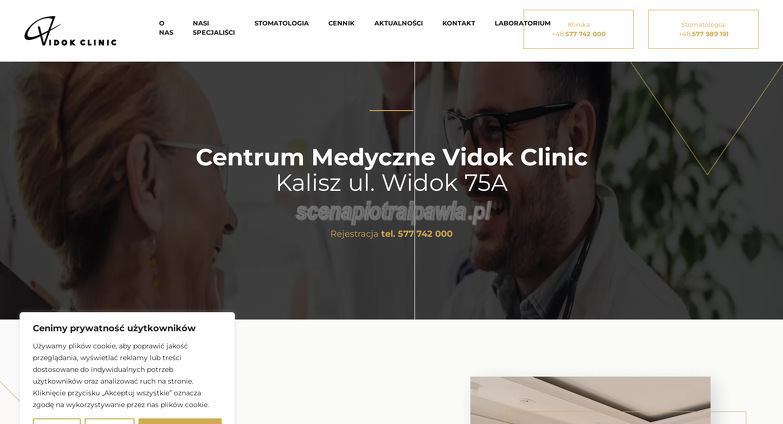 vidok-clinic